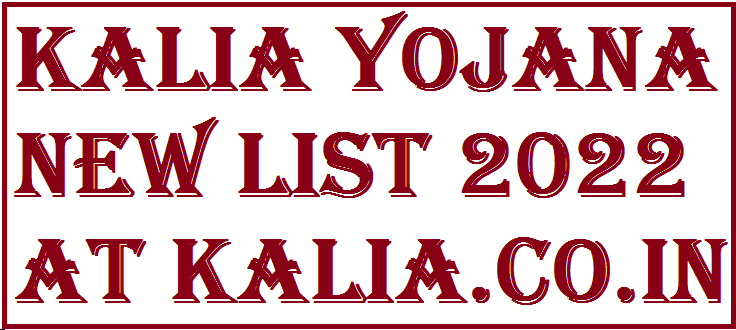 Kalia Yojana New List 