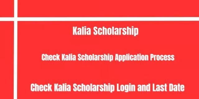 KALIA Scholarship 2024